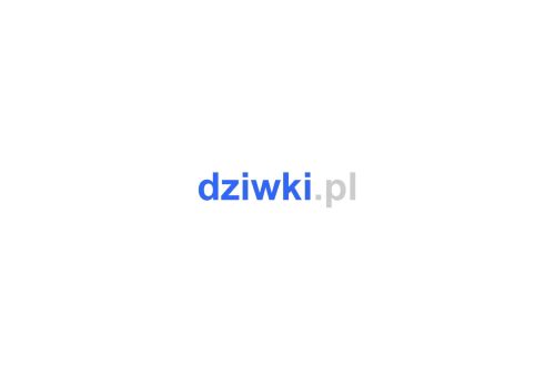 dziwki.pl