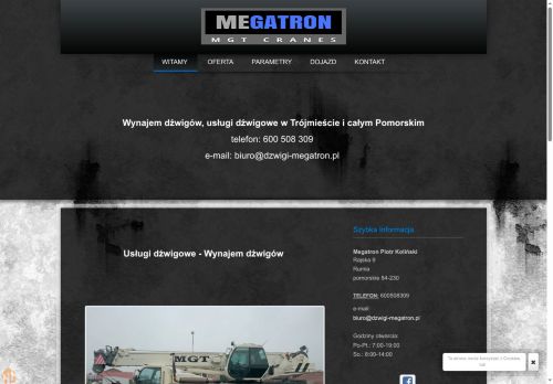dzwigi-megatron.pl