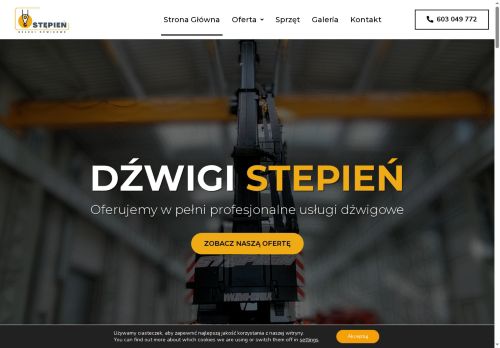 dzwigi-stepien.pl