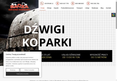 dzwigikoparki-przemysl.pl