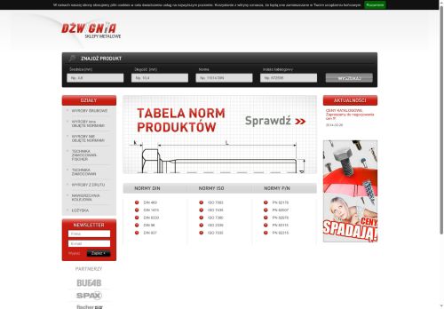 dzwignia.pl