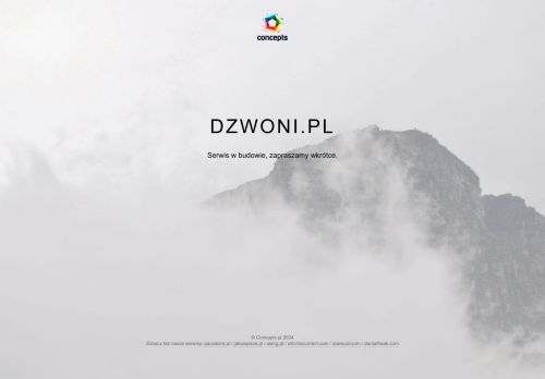 dzwoni.pl