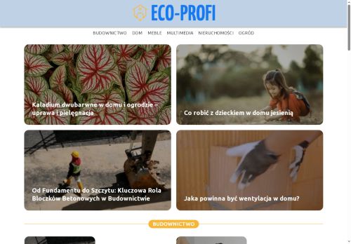 eco-profi.pl