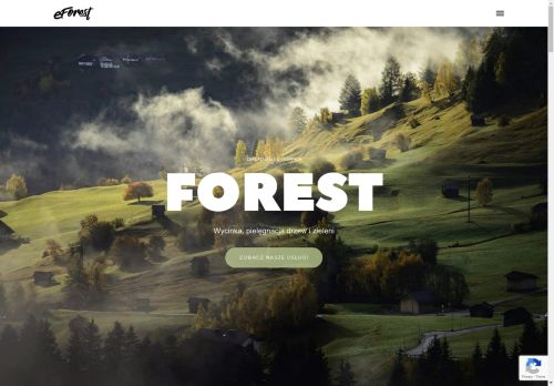 eforest.pl