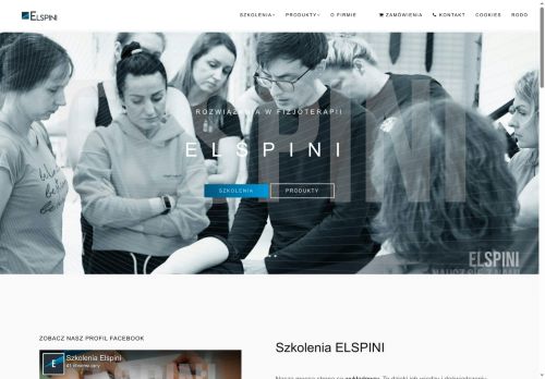 elspini.pl