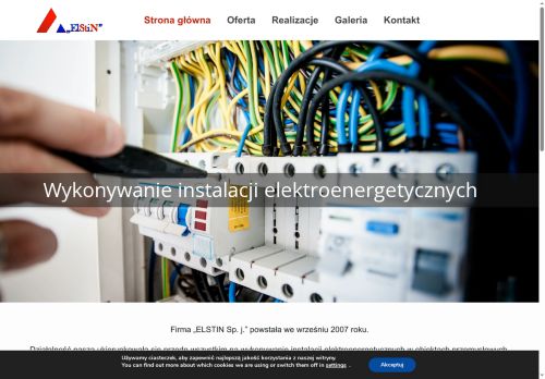 elstin.com