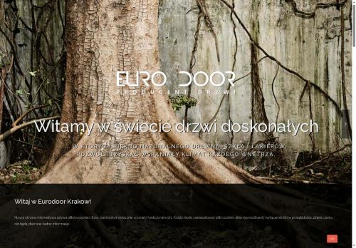 eurodoor.krakow.pl