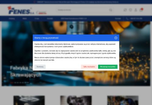 fenes.com.pl