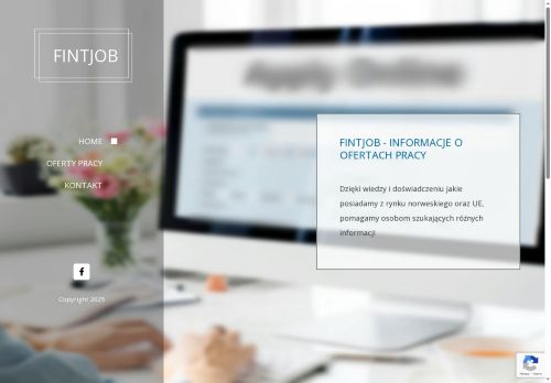 fintjob.eu
