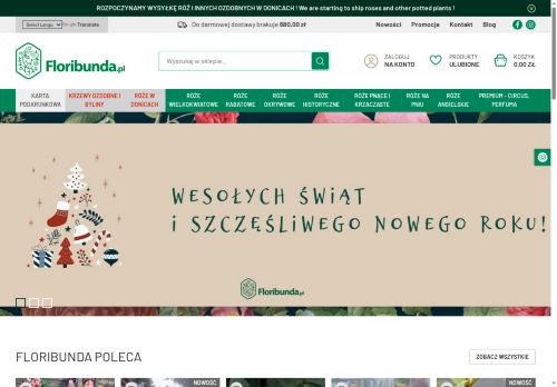 floribunda.pl