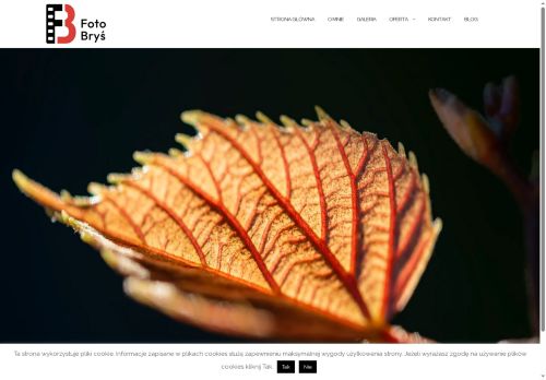 fotobrys.pl
