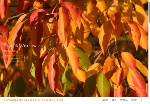 fotografik.net.pl