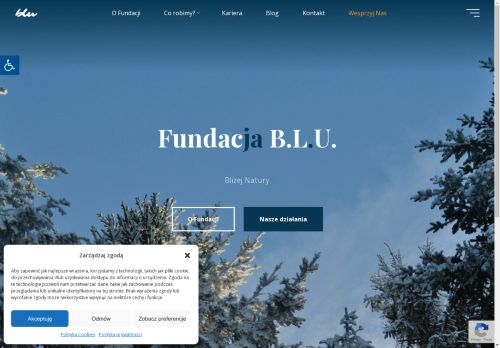 fundacjablu.pl