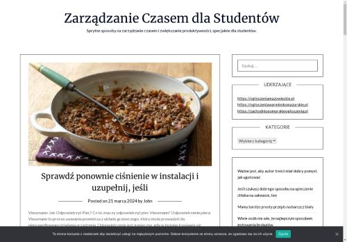 galwanizernia-alladyn.pl