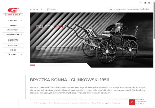 glinkowski.pl