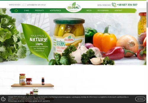 global-zph.com.pl