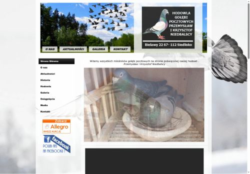 golebieniedbalscy.pl