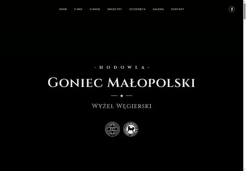 gonczy-polski.com.pl