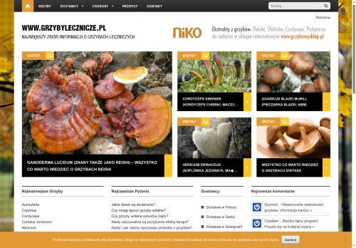 grzybylecznicze.pl