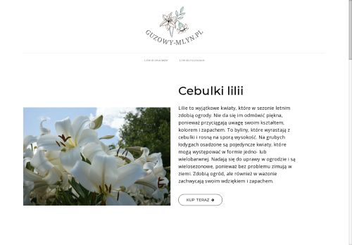 guzowy-mlyn.pl