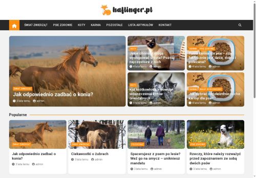haflinger.pl