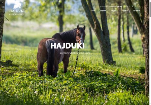 hajduki.info
