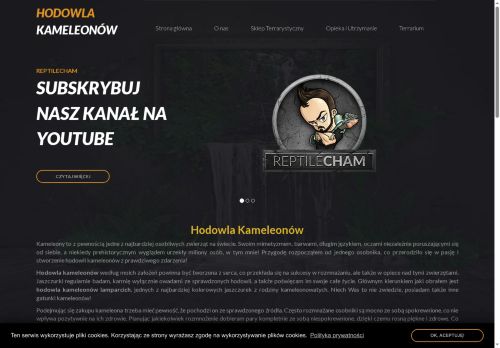 hodowlakameleonow.pl