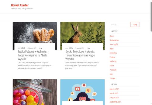 hornet-czarter.pl