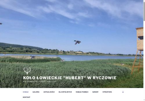 hubert-ryczow.pl