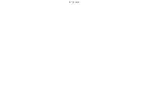 hydraulicy.pl
