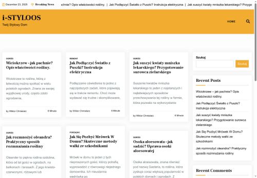 i-styloos.pl