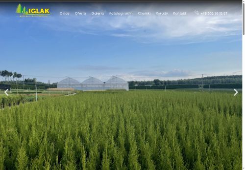 iglak.net.pl