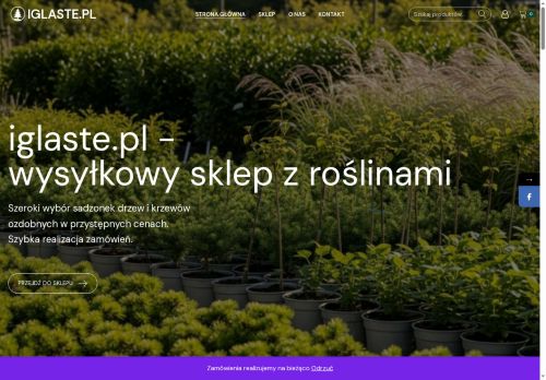 iglaste.pl
