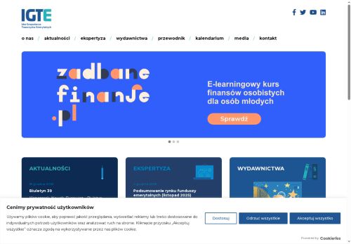 igte.pl