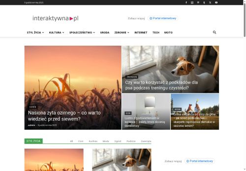 interaktywna.pl