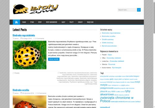 istotyzywe.pl