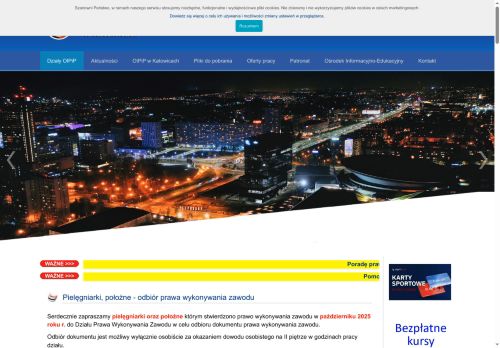 izbapiel.katowice.pl