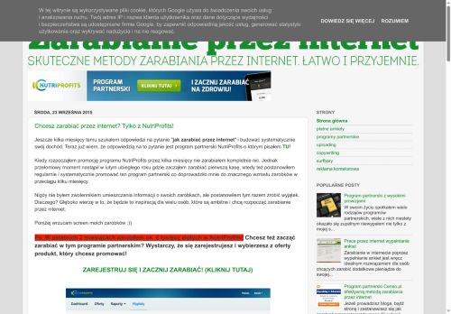 jakzarobickasewinternecie.blogspot.com