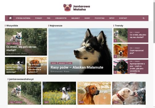 jantarowawataha.pl