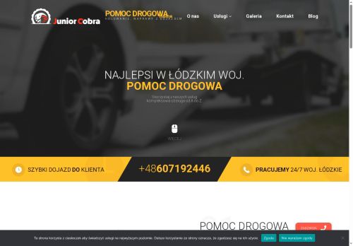juniorcobra.pl