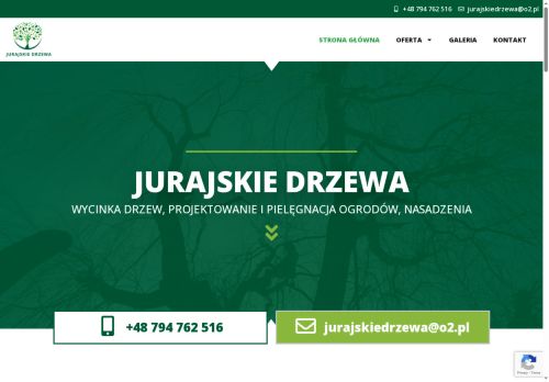 jurajskiedrzewa.pl