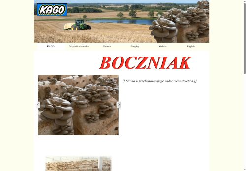 kago.com.pl
