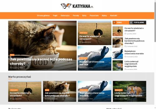 katiyana.pl
