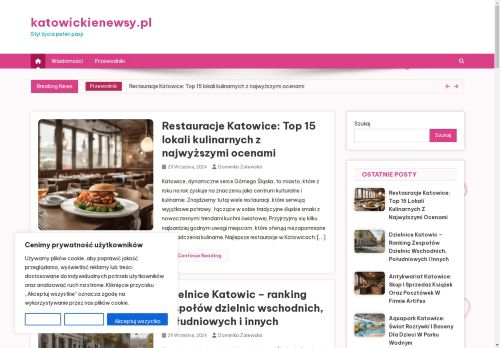 katowickienewsy.pl
