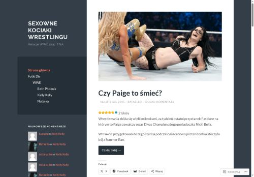 kociakiwrestlingu.wordpress.com