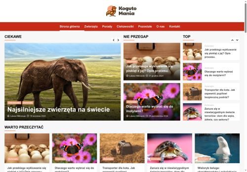 kogutomania.pl