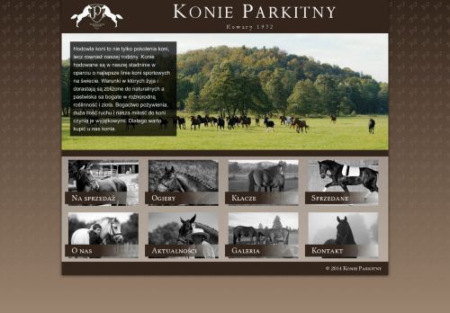 konieparkitny.pl