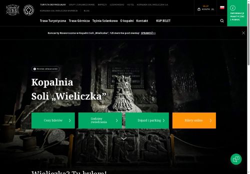 kopalnia-wieliczka.pl