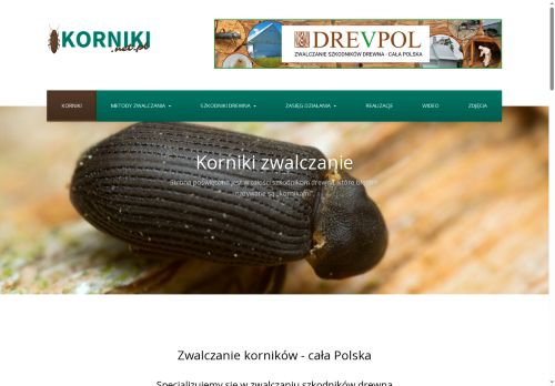 korniki.net.pl