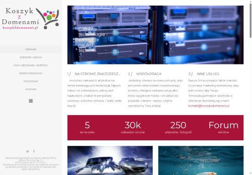 koszykzdomenami.pl